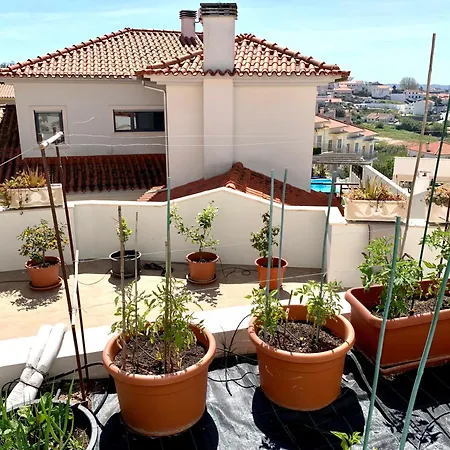 וילה Two Palms נאזרה