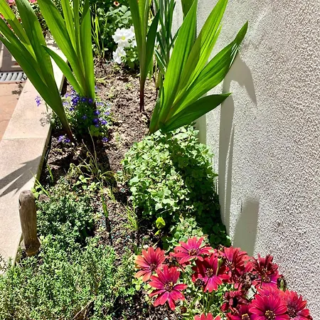 וילה Two Palms *