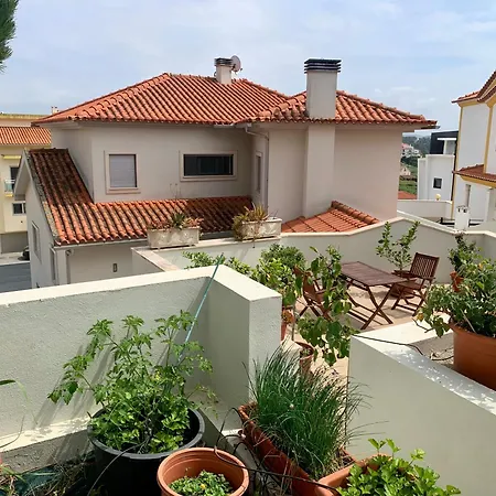 Two Palms נאזרה