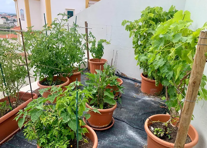 Villa Two Palms Nazaré